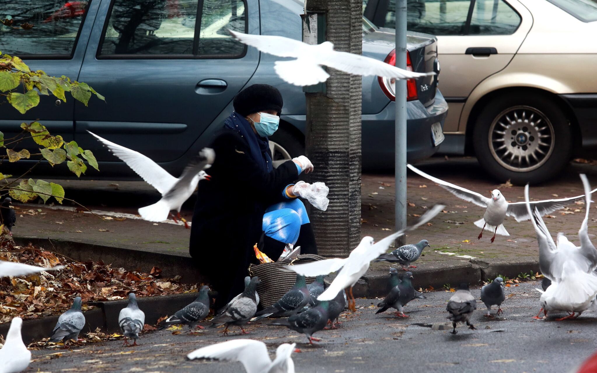 18.11.2020 Warszawa . Praga Polnoc . Kobieta karmiaca ptaki .
Fot. Jacek Marczewski / Agencja Gazeta