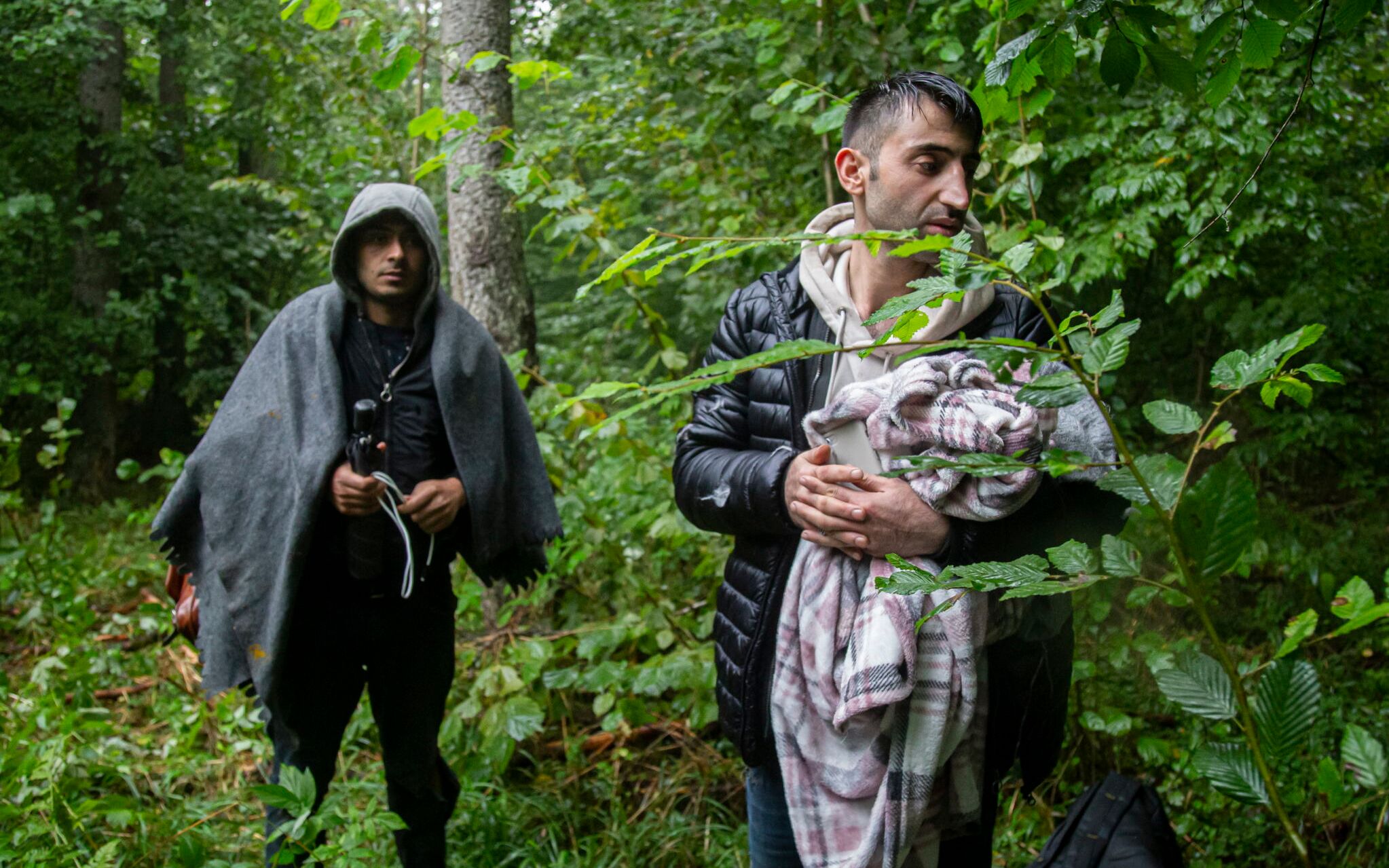30.08.2021 Puszcza Bialowieska , okolica Teremisek i Pogorzelc . Grupa 9 uchodzcow z Syrii , Afganistanu , Libanu i Egiptu zostala odnaleziona przez Fundacje Ocalenie i posla Franciszka Sterczewskiego . Uchodzcy byli kilka dni temu w Polsce , ale Straz Graniczna zmusila ich do przejscia na Bialorus . Prawnicy Fundacji Ocalenia odebrali pelnomocnictwa od mezczyzn . Do jednego - 18 - latka zostalo wezwane pogotowie . Grupe odebrala Straz Graniczna .
Fot. Agnieszka Sadowska / Agencja Gazeta *** Local Caption *** .
