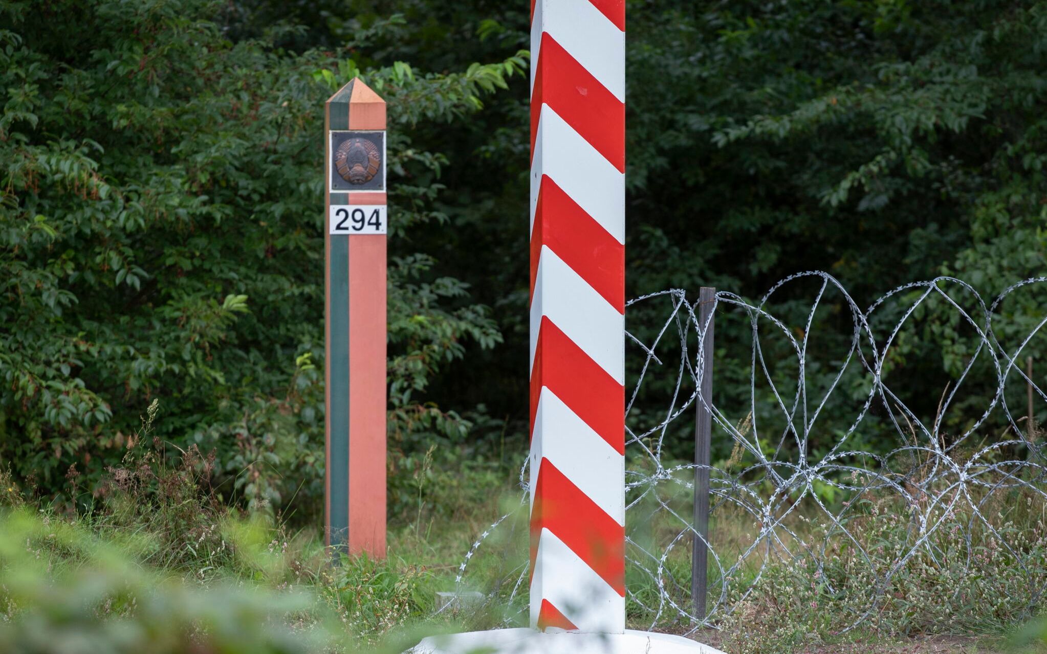 24.08.2021 Opaka Duza, Puszcza Bialowieska, granica polsko - bialoruska
Fot. Grzegorz Dabrowski / Agencja Wyborcza.pl
