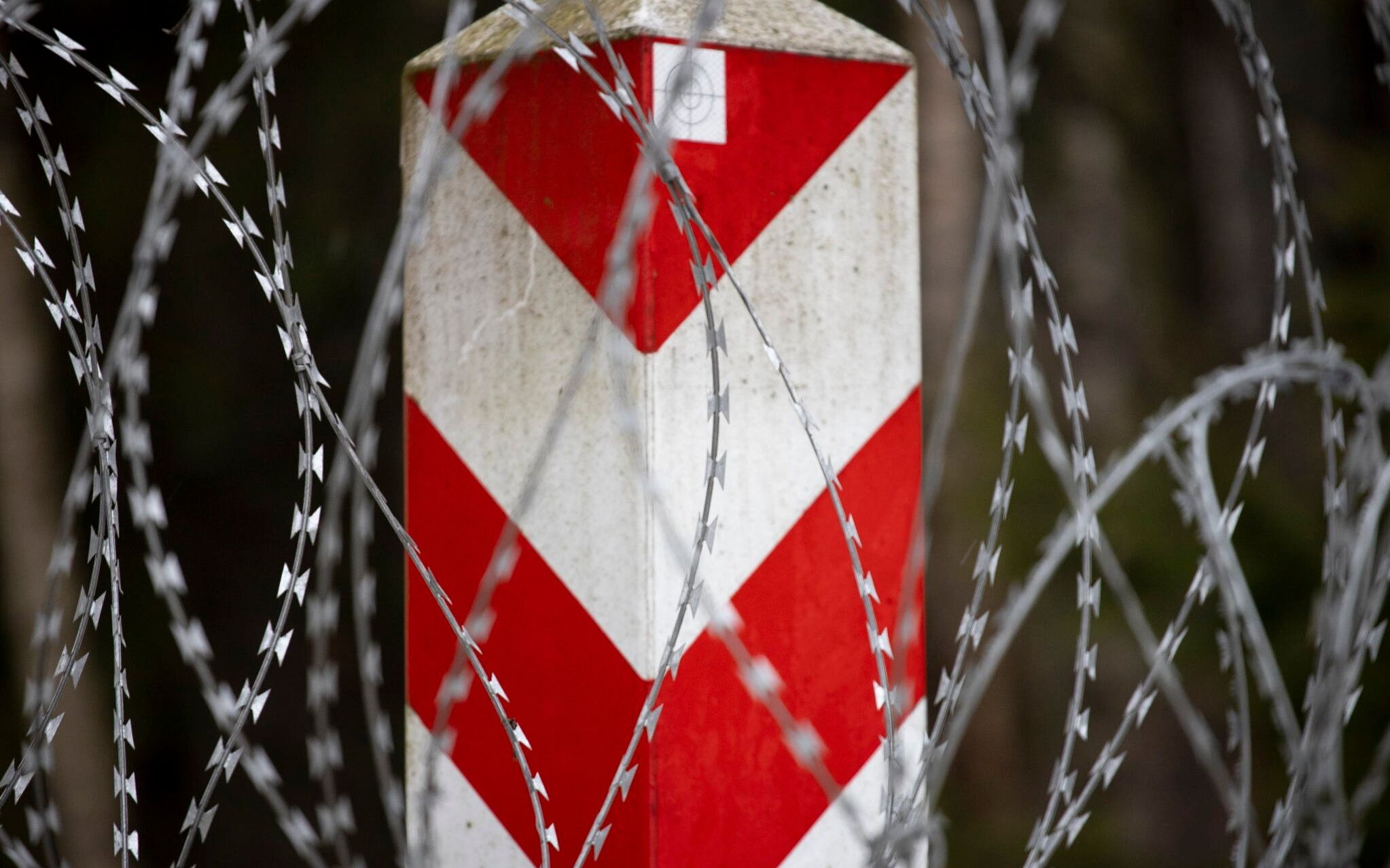 27.01.2022 Tolcze , wojewodztwo podlaskie , granica polsko - bialoruska . Dwa dni po przekazaniu przez straz graniczna wykonawcom terenow pod budowe zapory na granicy polsko - bialoruskiej , jej fragment pod okiem mundurowych mogli obejrzec dziennikarze .
Fot. Grzegorz Dabrowski / Agencja Wyborcza.pl