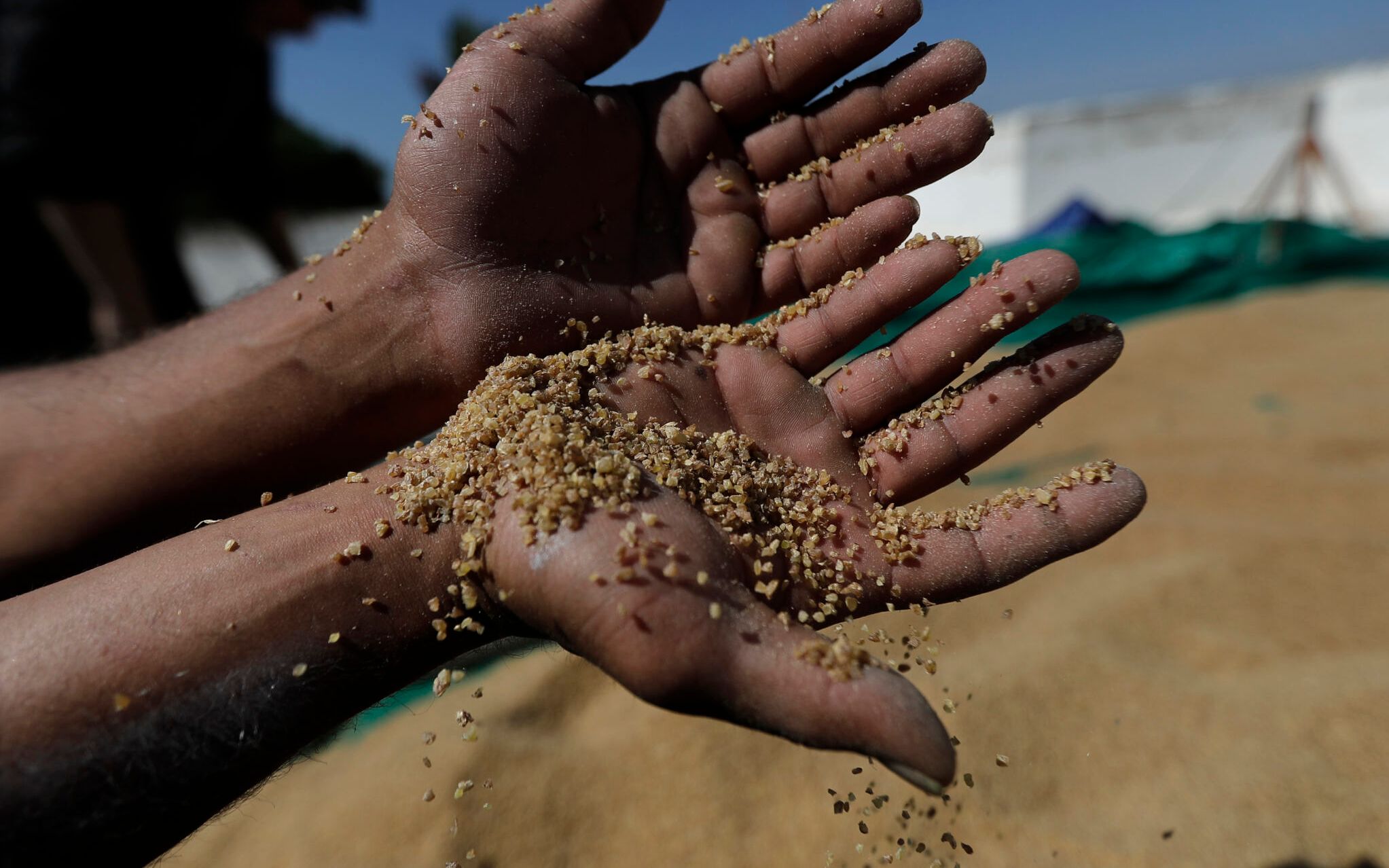 (FILES) In this file photo taken on July 15, 2020 Wheat groats are milled during bulgur preparation in the Lebanese southern town of Marjayoun. - Russia's invasion of Ukraine could mean less bread on the table in Egypt, Lebanon, Yemen and elsewhere in the Arab world where millions already struggle to survive. The region is heavily dependent on wheat supplies from the two countries which are now at war, and any shortages of the staple food have potential to bring unrest. (Photo by JOSEPH EID / AFP)