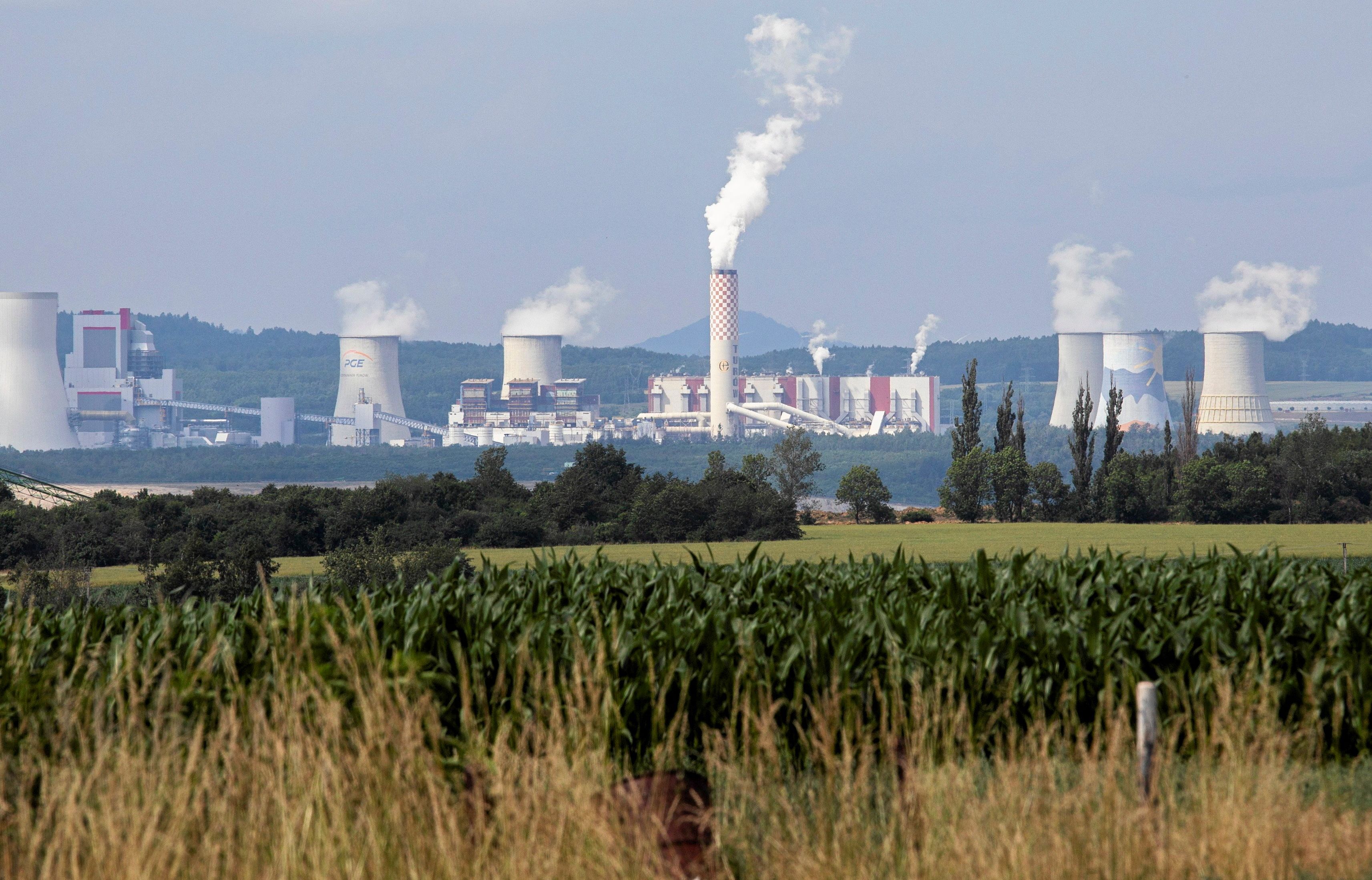 W oddali dymiące kominy kopalni i elektrowni w Turowie, na pierwszym planie łąka i drzewa