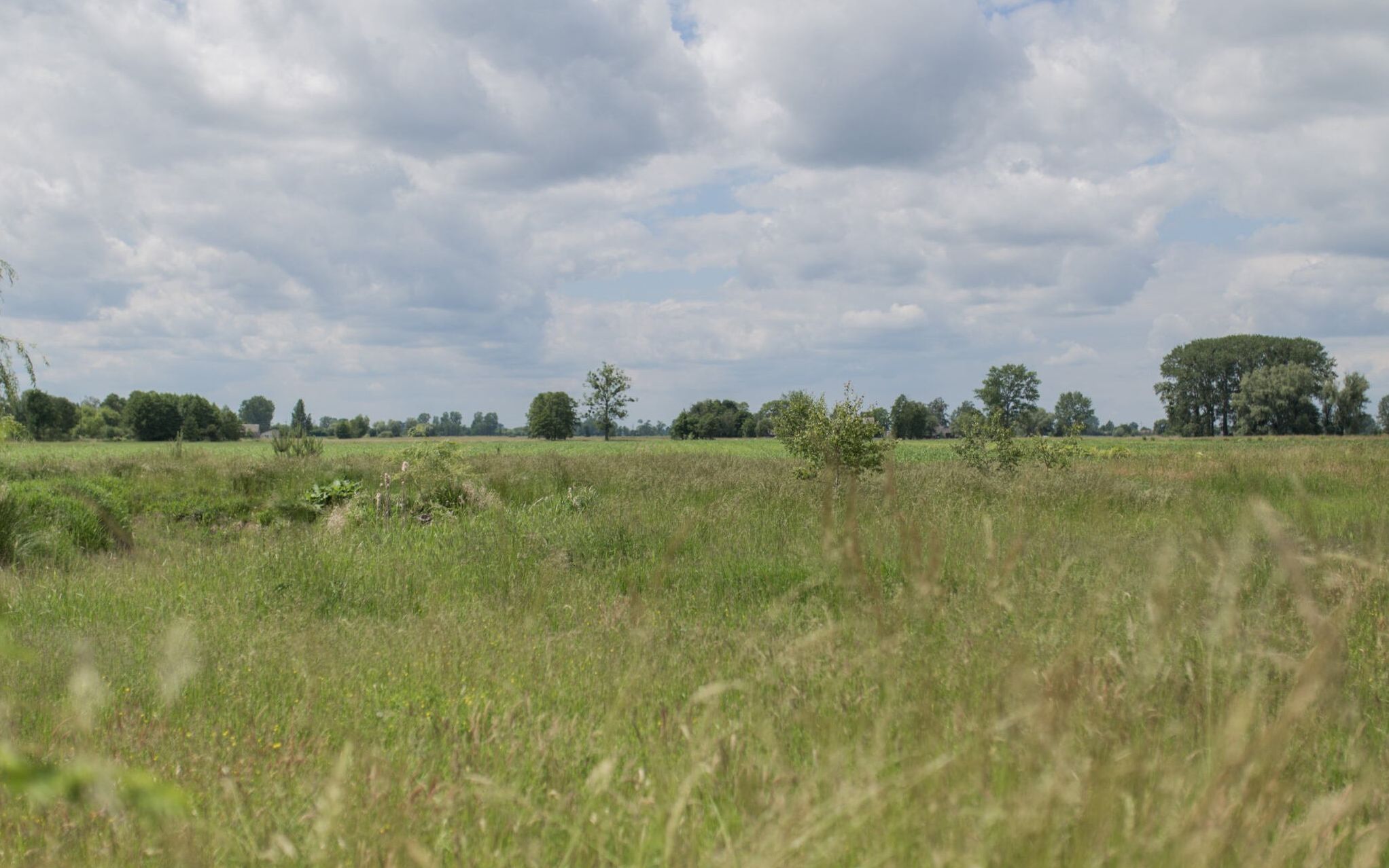 15.06.2020 Baranow . Gmina Baranow miejsce gdzie ma powstac Centralny Port Komunikacyjny . 
Fot. Adam Stepien / Agencja Wyborcza.pl