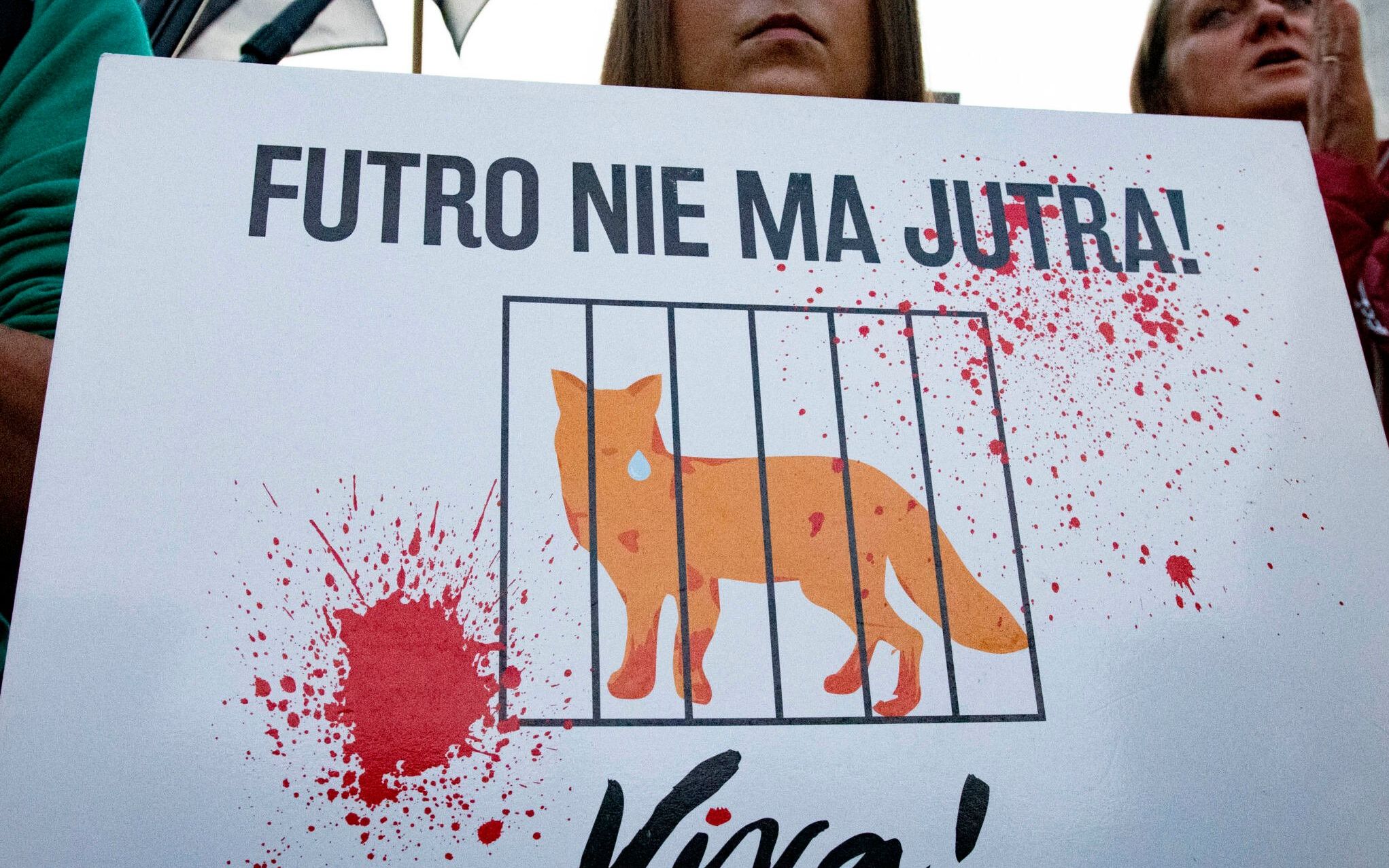 Warszawa, 04.10.2021, marsz organizacji prozwierzęcych
