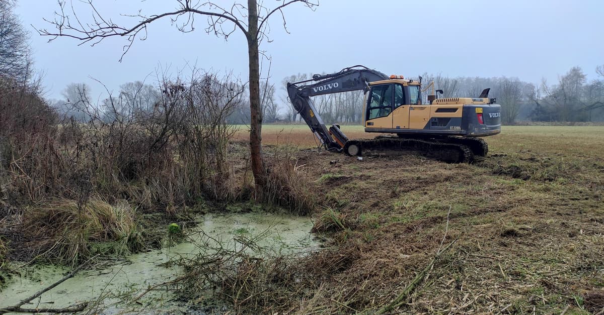Koszmarna „renaturyzacja” przez niszczenie bobrowych tam. Skandal w świętokrzyskim lesie