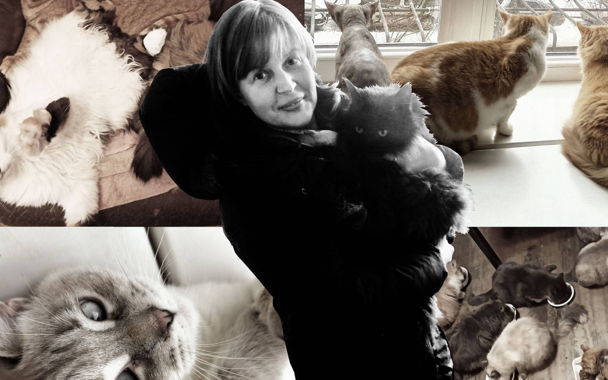 Grafika do artykułu Tatiana z Charkowa ratuje koty. "Codziennie siadam na progu mieszkania i się o nie modlę"