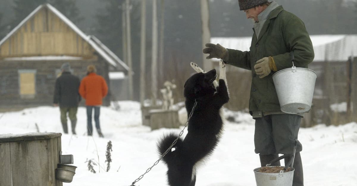 Pies bez łańcucha, ale za to w klatce. Do tego może doprowadzić projekt Karola Nawrockiego