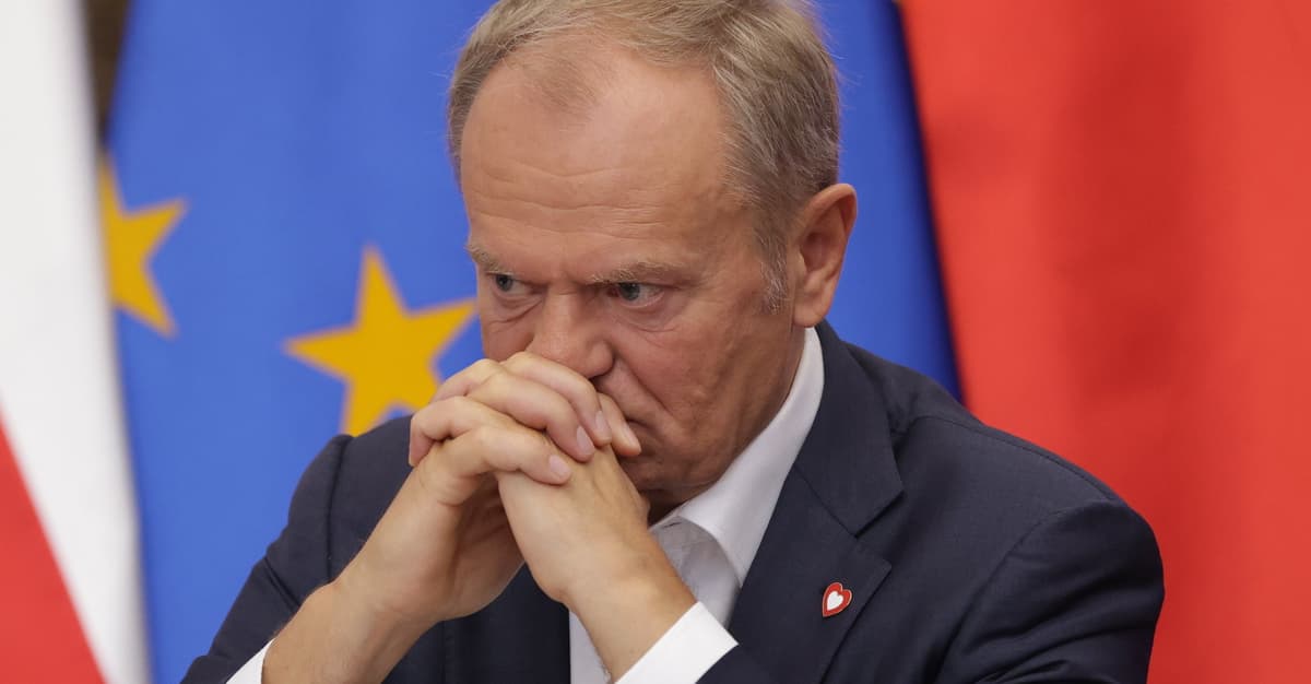 To nie jest zorganizowana grupa – premier o atakach