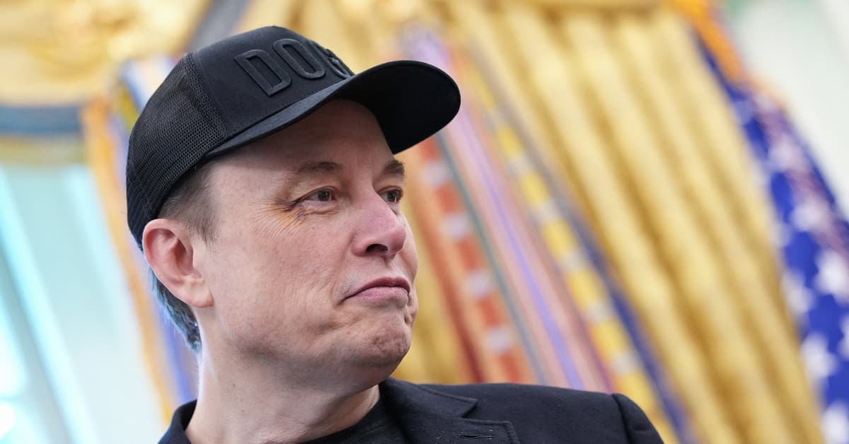 Amnesty International: X łamie prawo UE, narażając osoby LGBT+ na „śmierć przez tysiąc cięć” [WYWIAD]