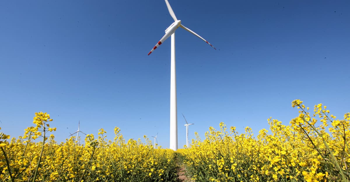 Ustawa wiatrakowa trafi na biurko Nawrockiego. Sejm zagłosował