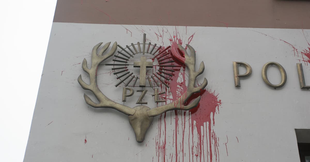 Mężczyzna wyszedł przed dom. Tam zastrzelił go myśliwy, który „myślał, iż to dzik”