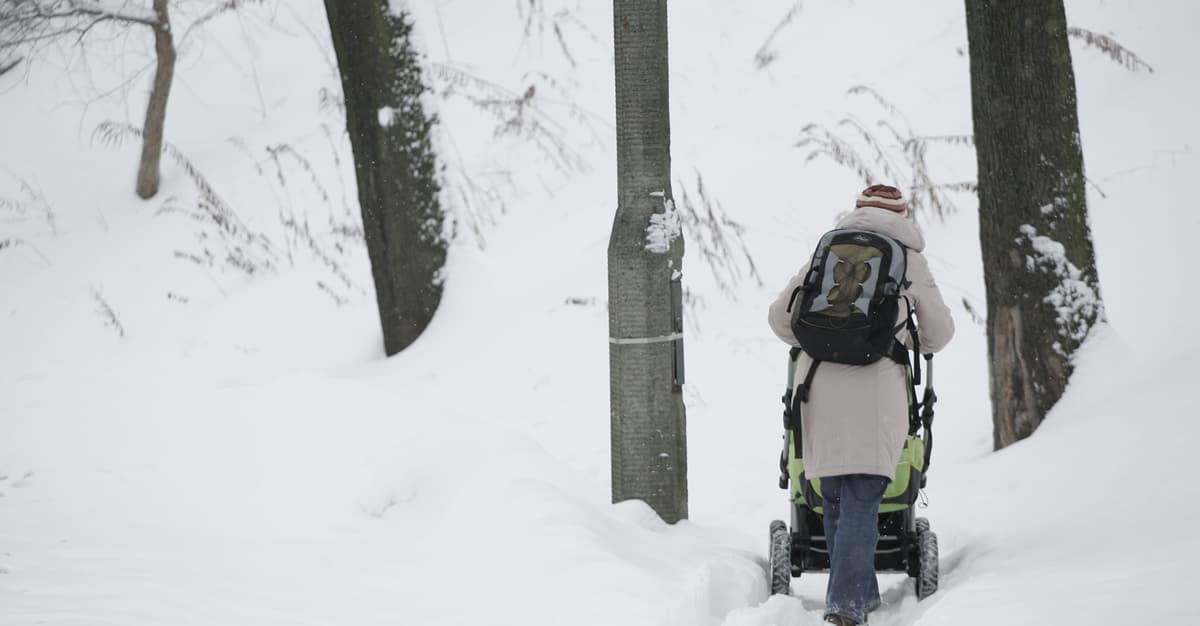 Tajemnica nieodśnieżanych chodników? Trybunał Konstytucyjny uznał kiedyś, iż takie prawo jest dobre