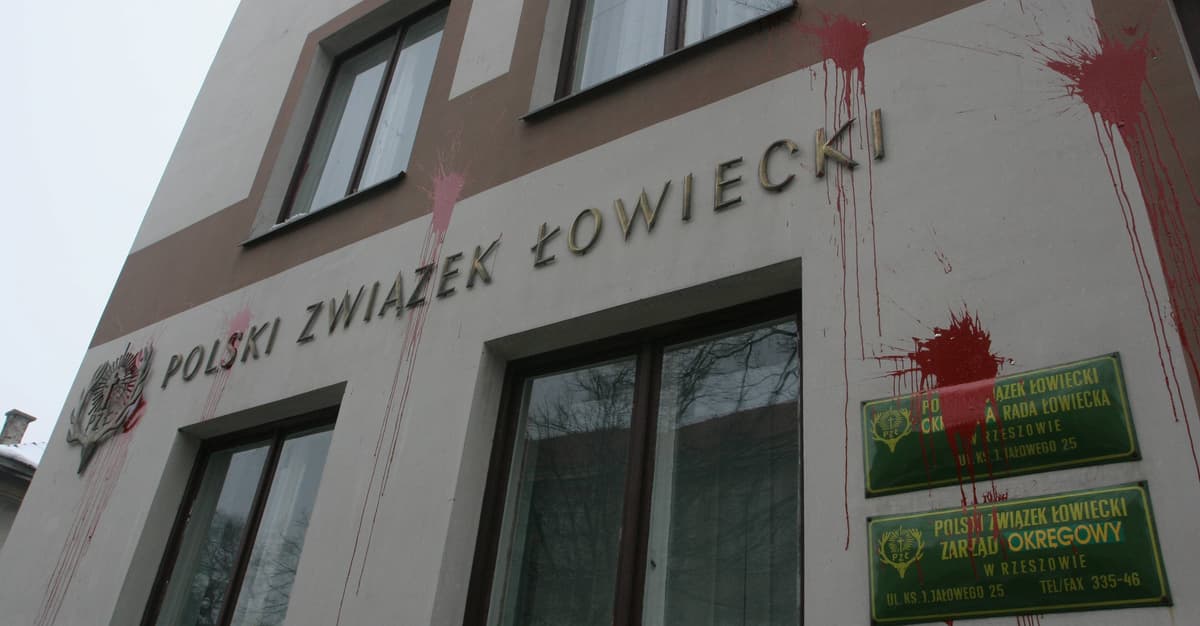 Myśliwy usłyszał zarzut za postrzelenie kolegi