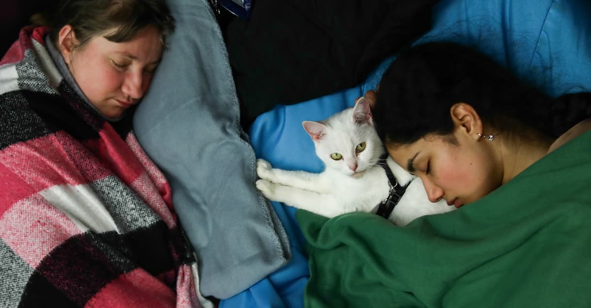 Dużo o uszczelnianiu, zbyt mało o ludziach. W Sejmie nowelizacja specustawy ukraińskiej