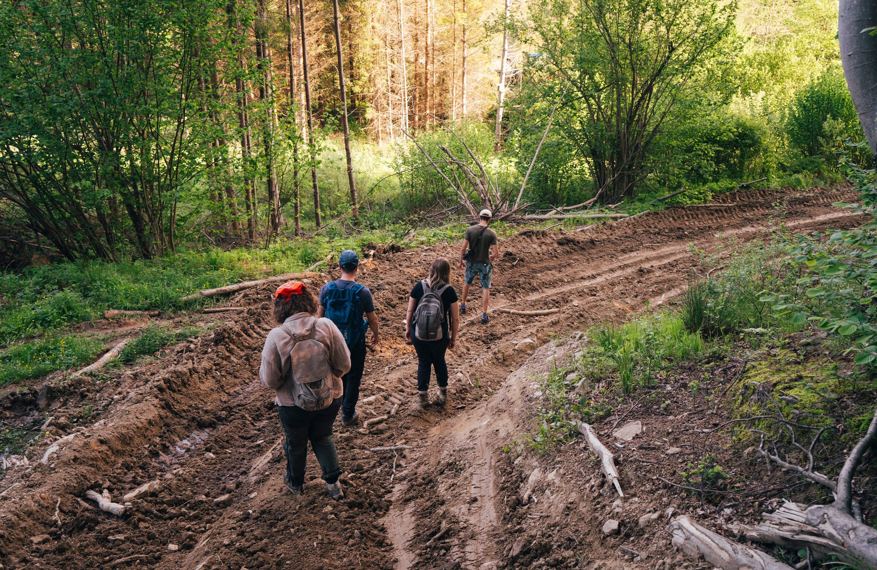 Bieszczady
