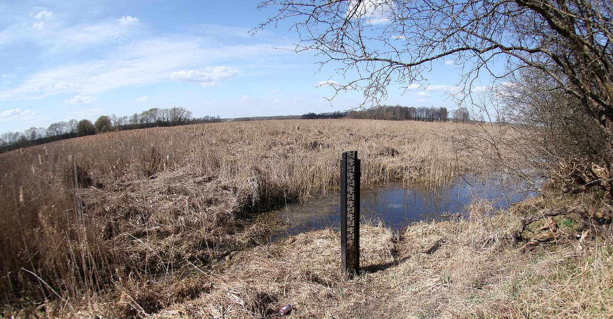 Polska Amazonia walczy o wodę. Zamknięto przeprawę przez Narew, bo prom osiadał na mieliźnie