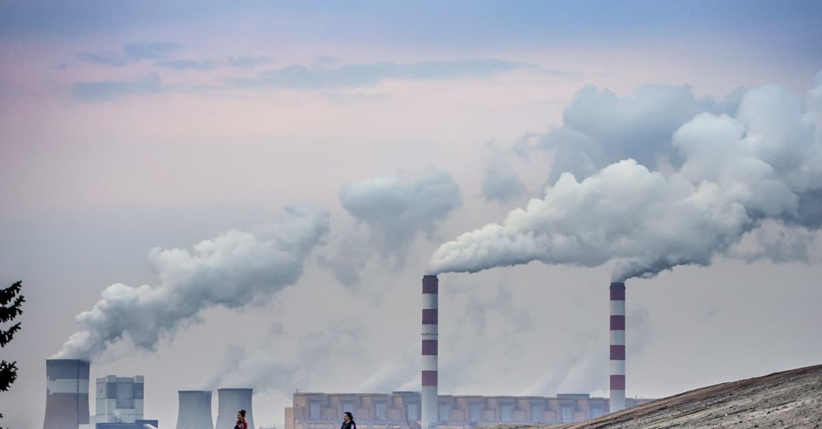 Kryzys klimatyczny. Rozgrzana Ziemia absorbuje coraz mniej CO2