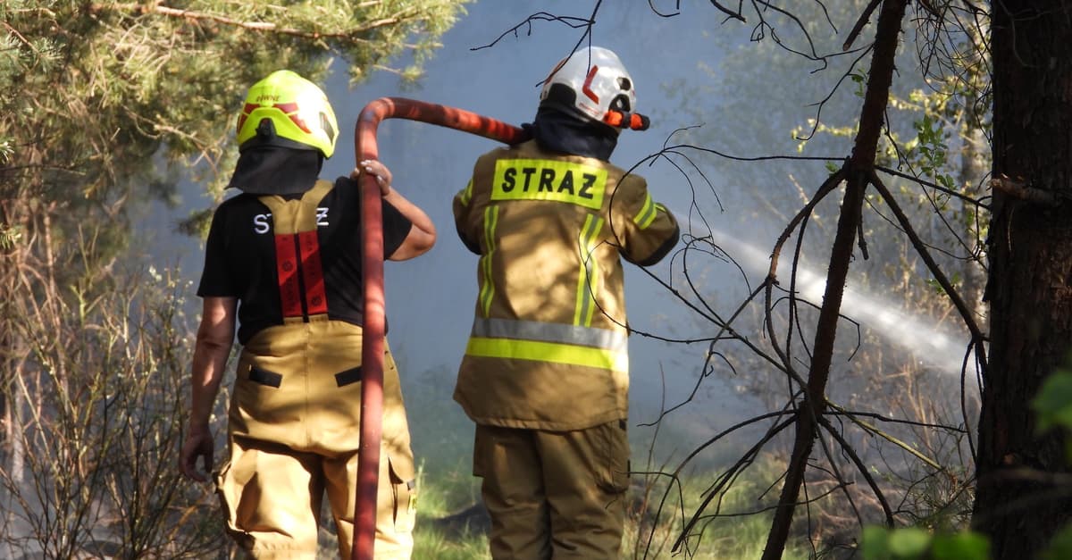 Pożar lasu pod Warszawą. Na miejsce wysłano wojsko