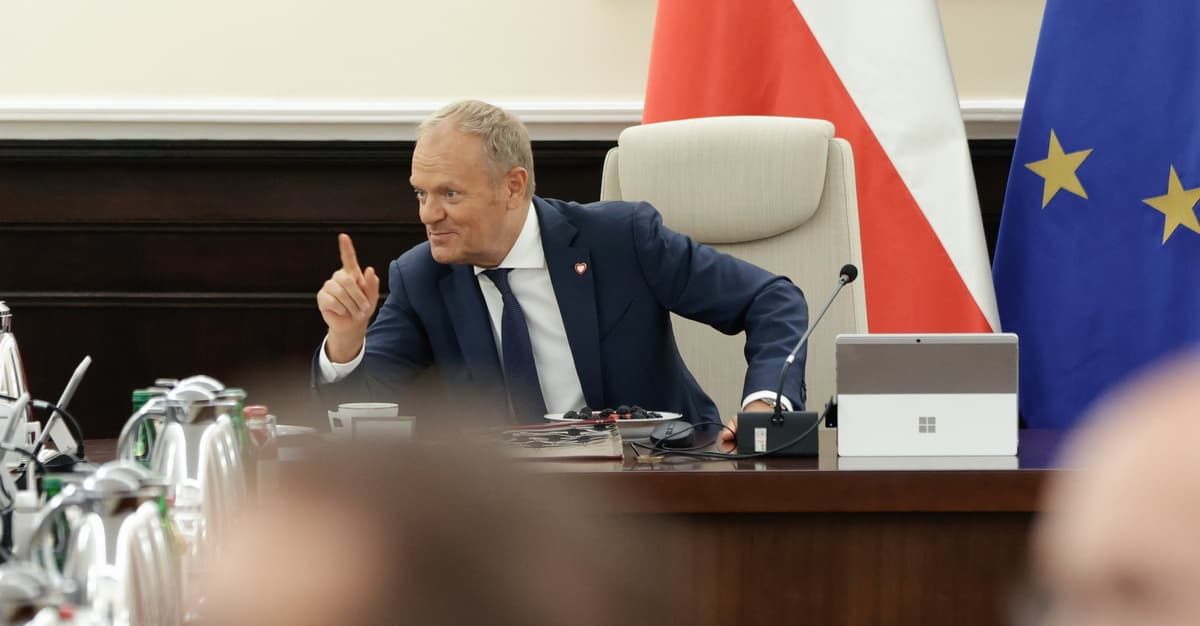 „Nie musimy nic proponować, nasi wyborcy niczego nie oczekują”. Jesień należy do Nawrockiego i Berka