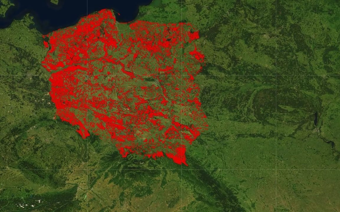Grafika do artykułu Społeczna mapa wycinek to manipulacja? Nie, to Lasy Państwowe brzydko się bronią i manipulują