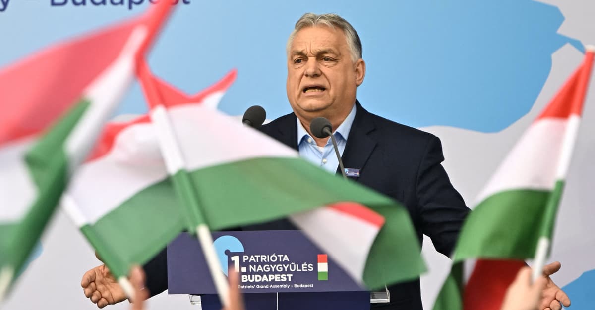 Ekspertka OSW: Fidesz gra Ukrainą. Wrogość wobec Kijowa to główne paliwo kampanii Orbána