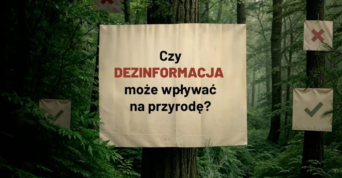 Co ukryto w dezinformacyjnym gąszczu? Rozbrajamy kampanię Lasów Państwowych [WIDZĘ TO TAK]