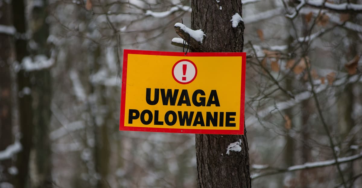 Ostra walka o podpisy pod projektem zmian w prawie łowieckim. Przeciwnicy straszą i manipulują