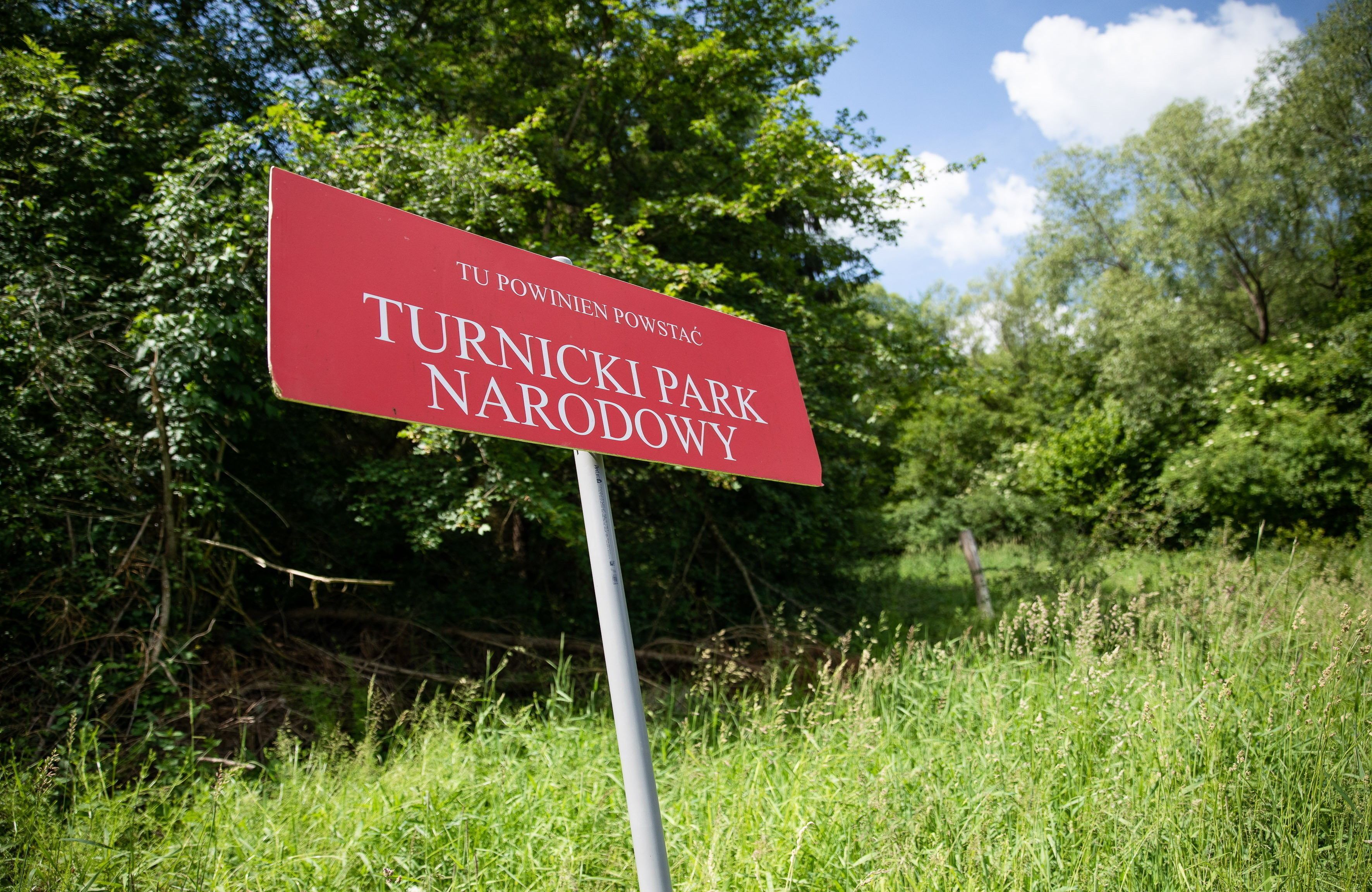 tablica z napisem "Tu powinien powstać Turnicki Park Narodowy"