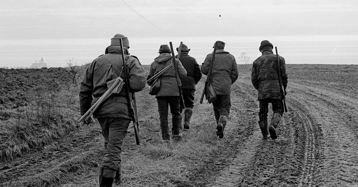 Rekordowe konsultacje, prawie 21 tys. oddanych głosów. Większość popiera badania dla myśliwych