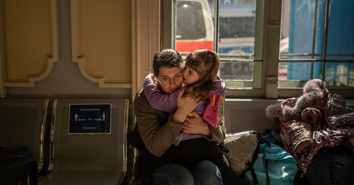 Co z tymi, którzy stracą status? Uwagi NGOs do projektu ustawy wygaszającej specustawę ukraińską