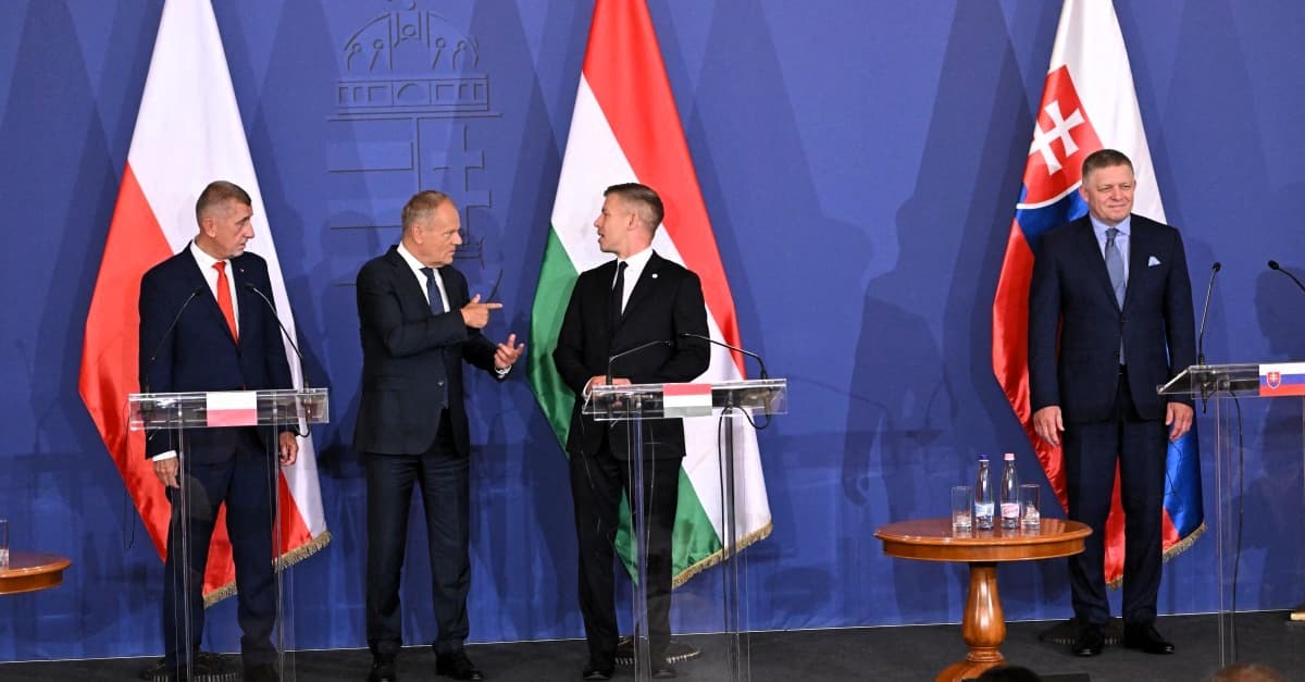 Grupa Wyszehradzka: nowy początek, czy sojusz na chwilę?