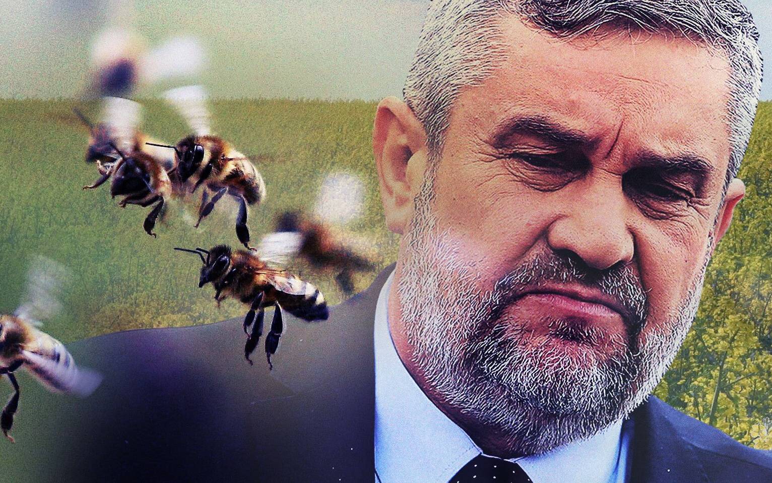 Grafika do artykułu Prokuratura zajmie się Ardanowskim. Pozwolił na stosowanie szkodliwego dla pszczół środka, zakazanego w UE