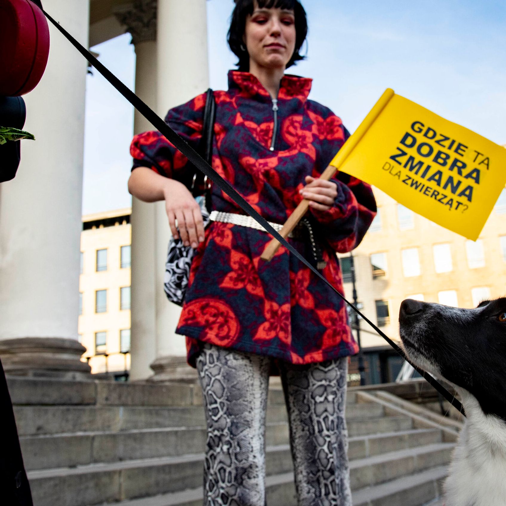 Warszawa, 04.10.2021, marsz organizacji prozwierzęcych