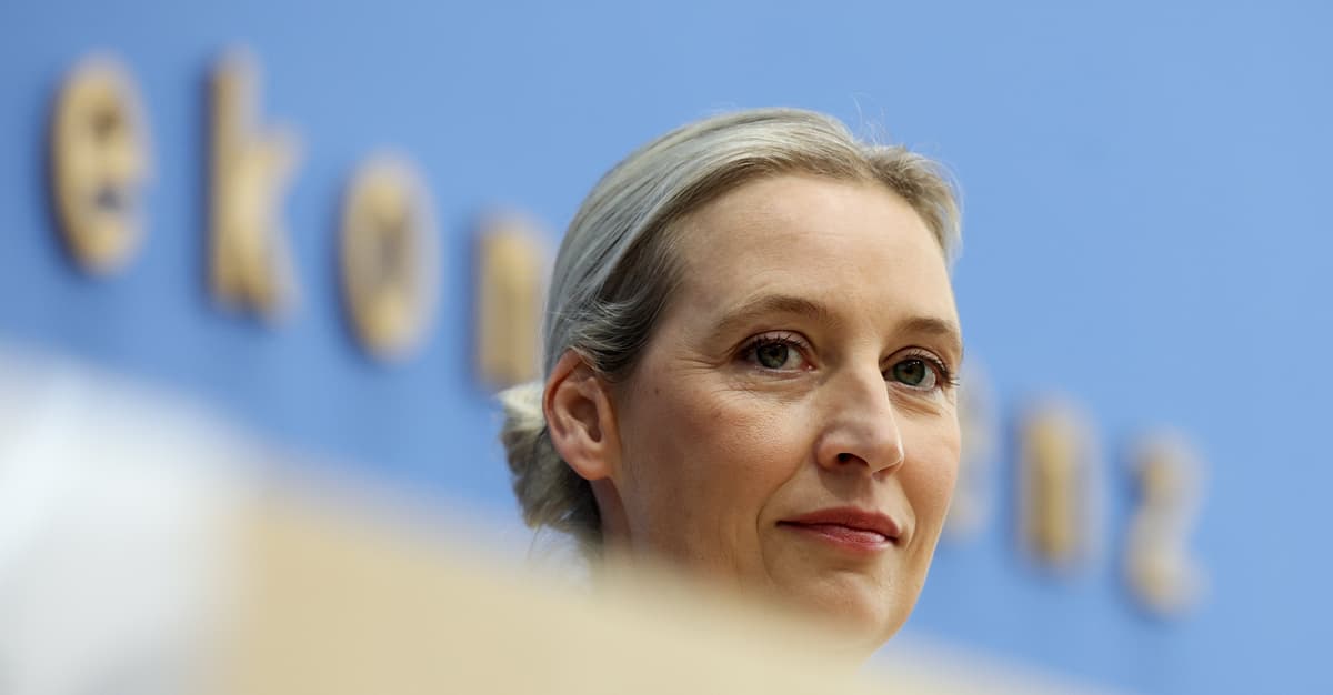 The AfD’s Darwinist imagination  of Europe. The PiS’s German Nightmare Has the Face of Alice Weidel [CORRESPONDENCE]