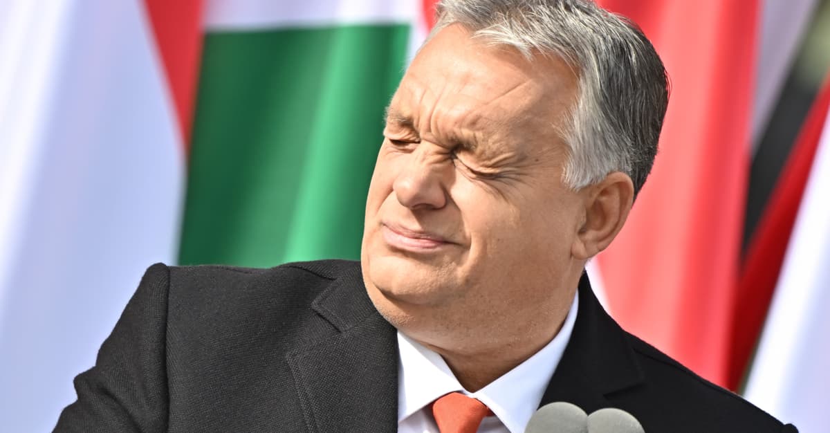 Я помогу, чем смогу. За кулисами переговоров Орбана с Путиным