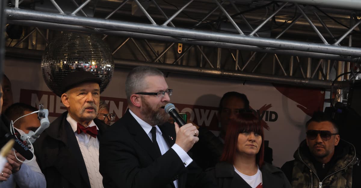 Najbardziej urósł Braun. Jak doświadczenie pandemii wpłynęło na polską politykę [ROZMOWA]