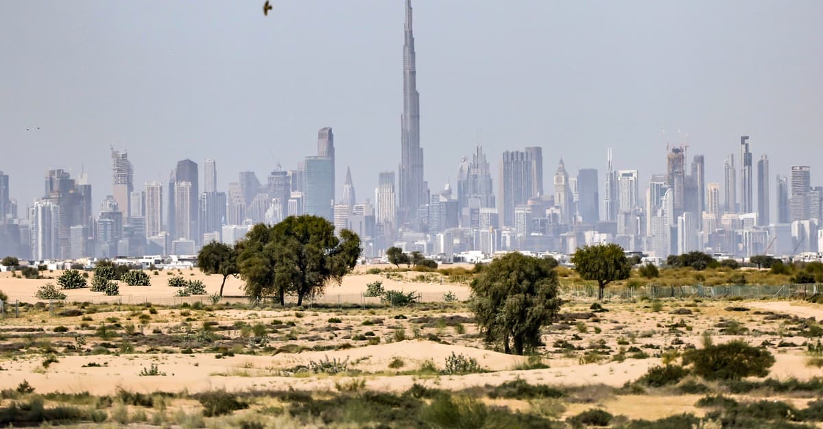 Afera Zondacrypto. Ślady prowadzą do Dubaju