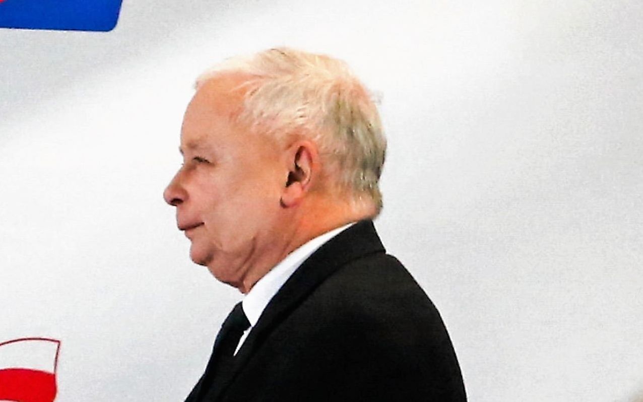 Grafika do artykułu Rządy mniejszości po polsku. Większość Polaków ma zupełnie inne poglądy niż PiS