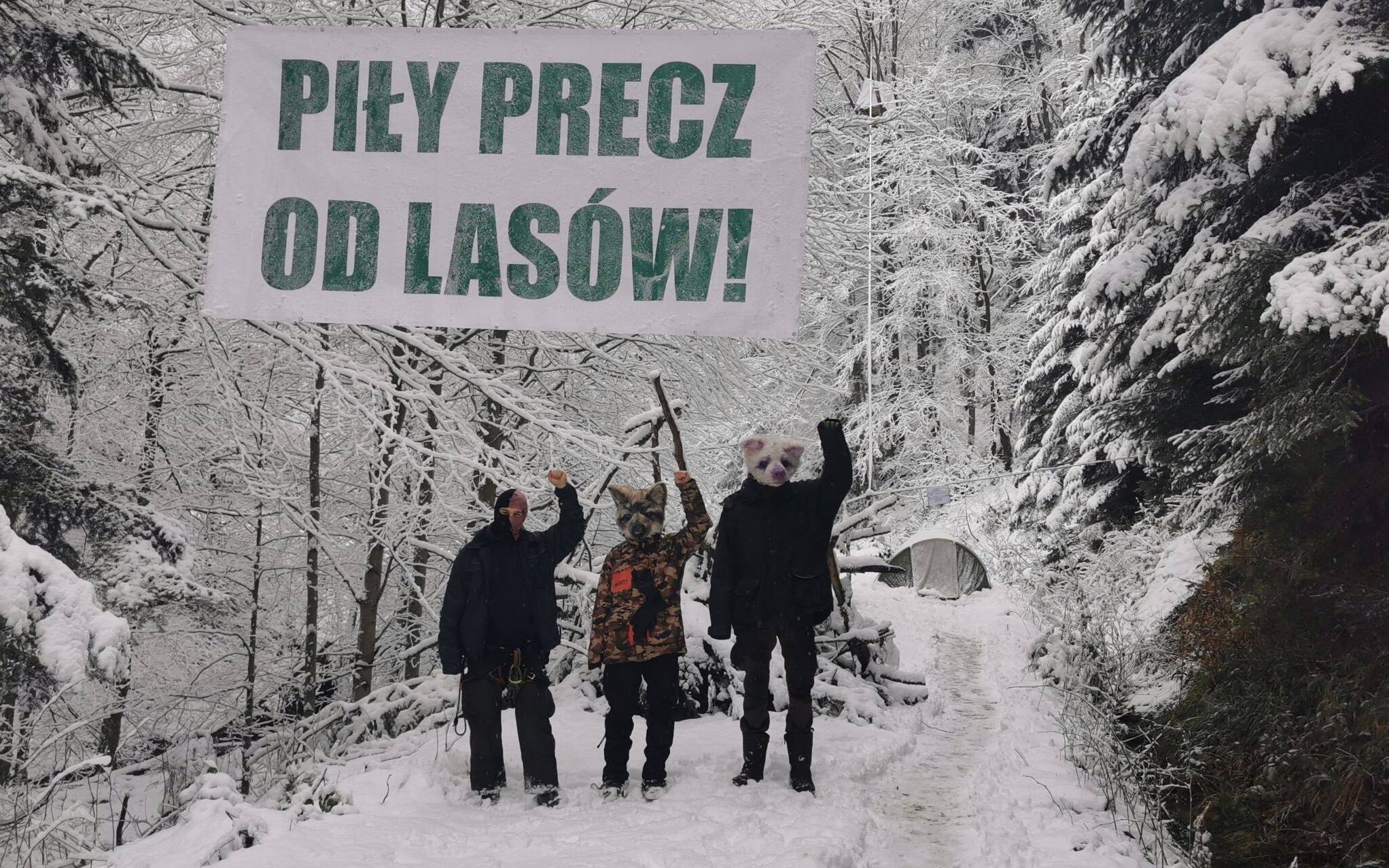 Grafika do artykułu Puszcza Karpacka. "Wilczyce" okupują las i ogłaszają "leśną rewolucję"