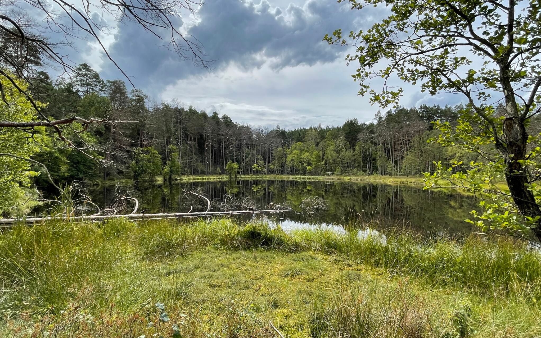 Grafika do artykułu Od ponad 20 lat nie powstał w Polsce żaden park narodowy. Czas na rewolucję w przepisach