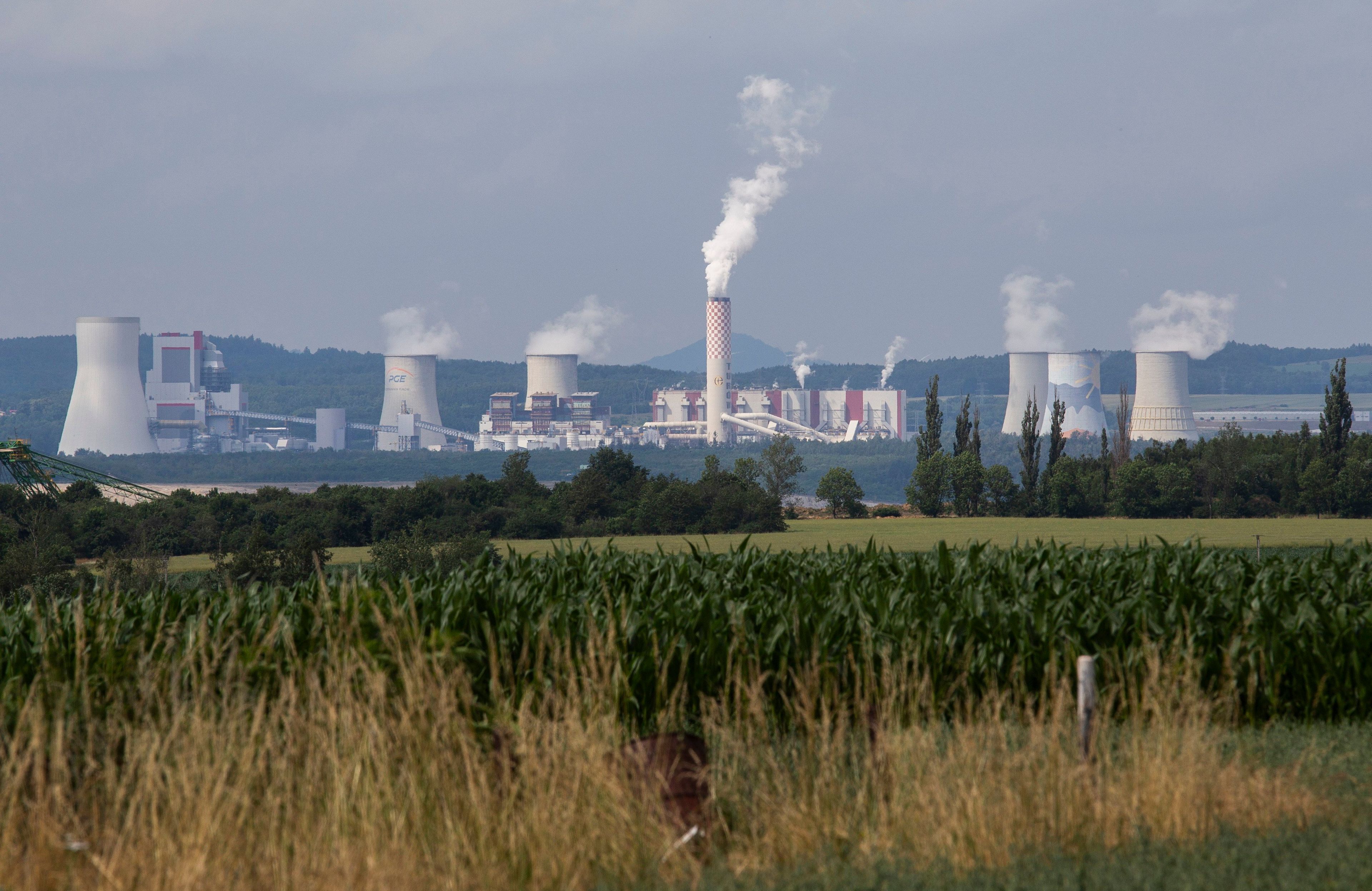 łąka, w tle kominy elektrowni