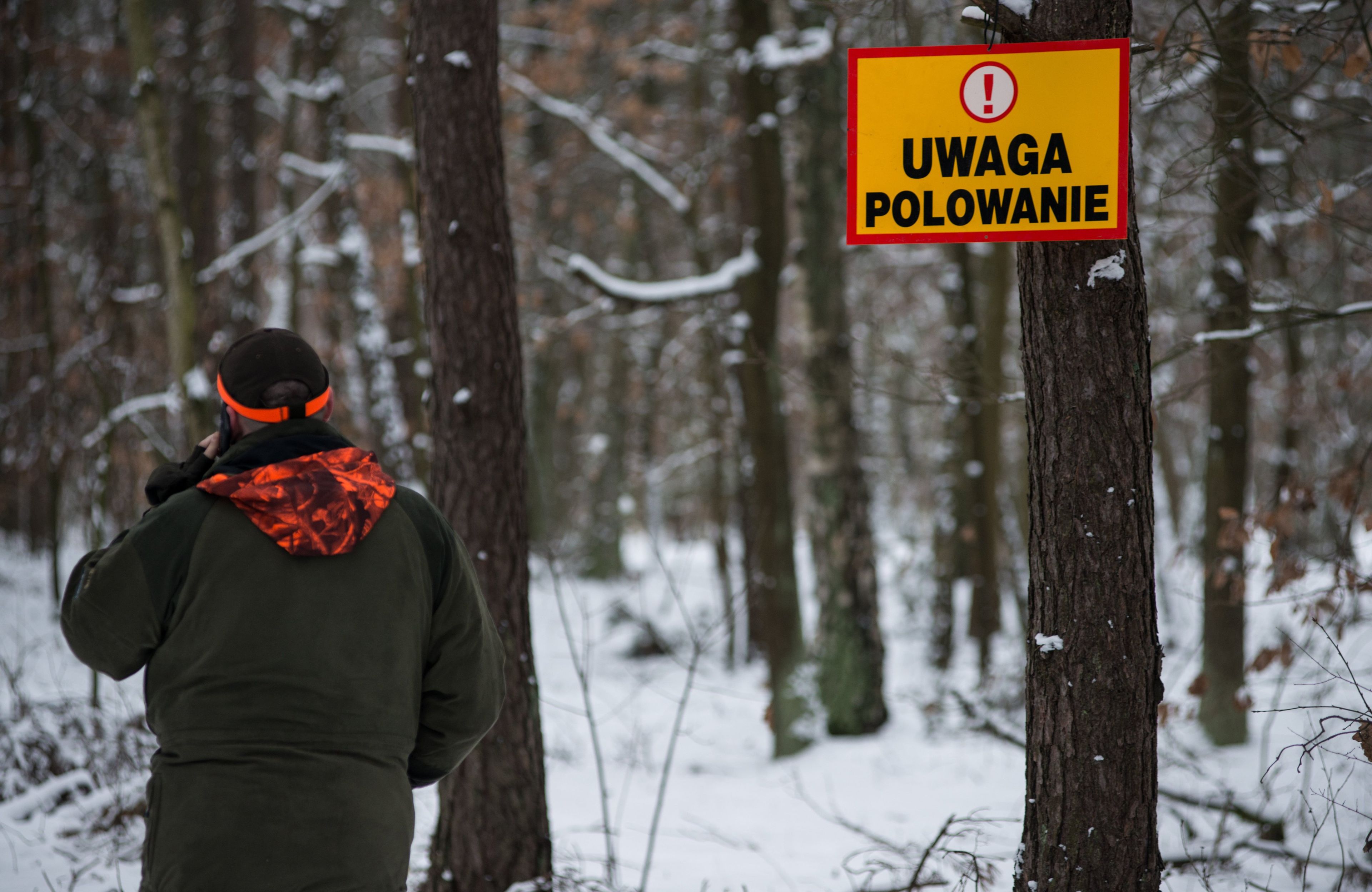myśliwi planują 60 polowań