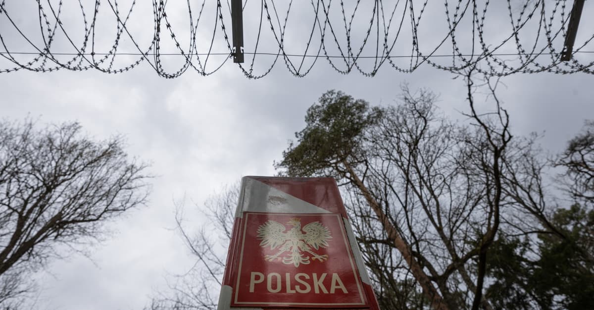 Migranci nie przedostają się do Polski? Organizacje pomocowe podważają dane Straży Granicznej