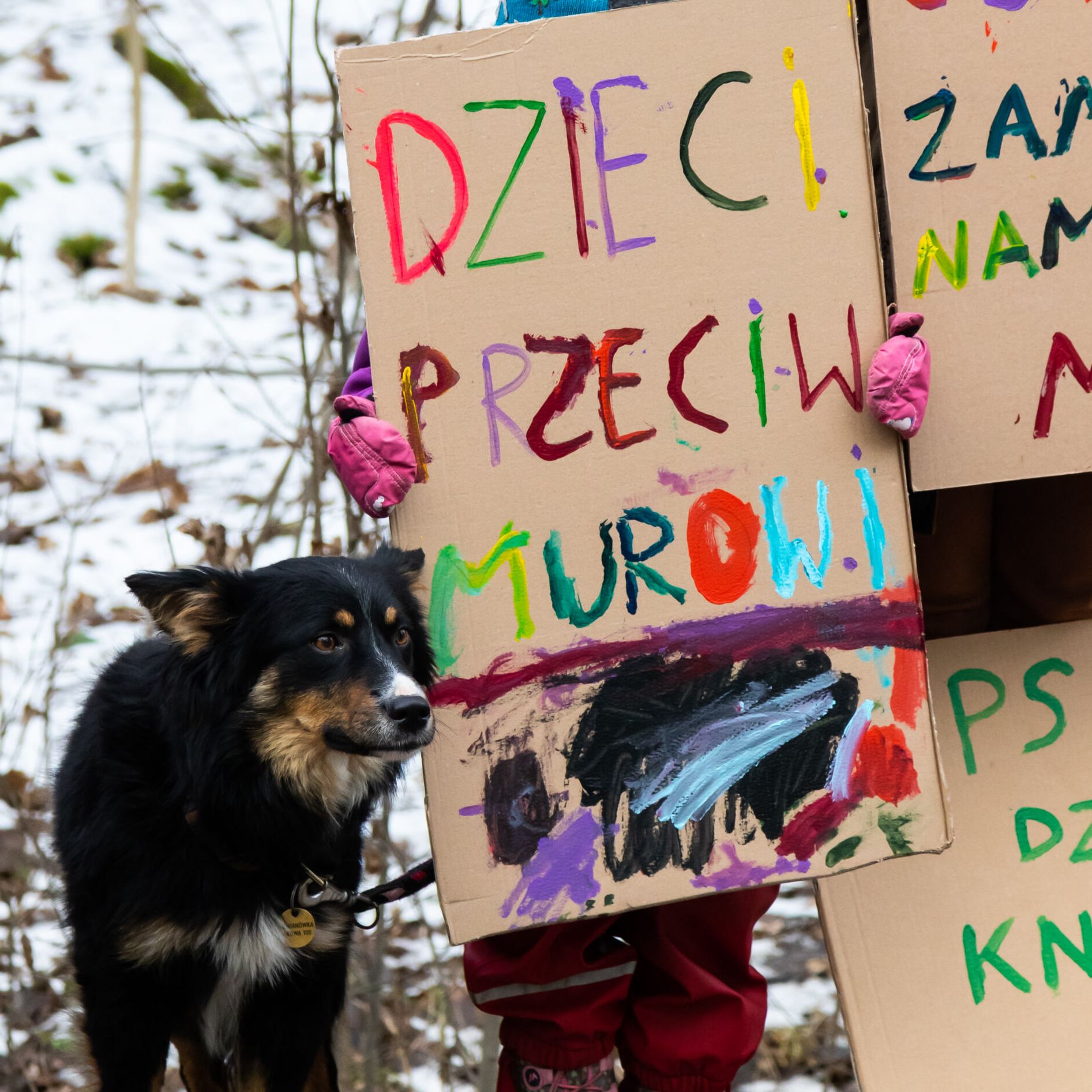 Białowieża 29.01.2022. Protest przeciw budowie muru na granicy