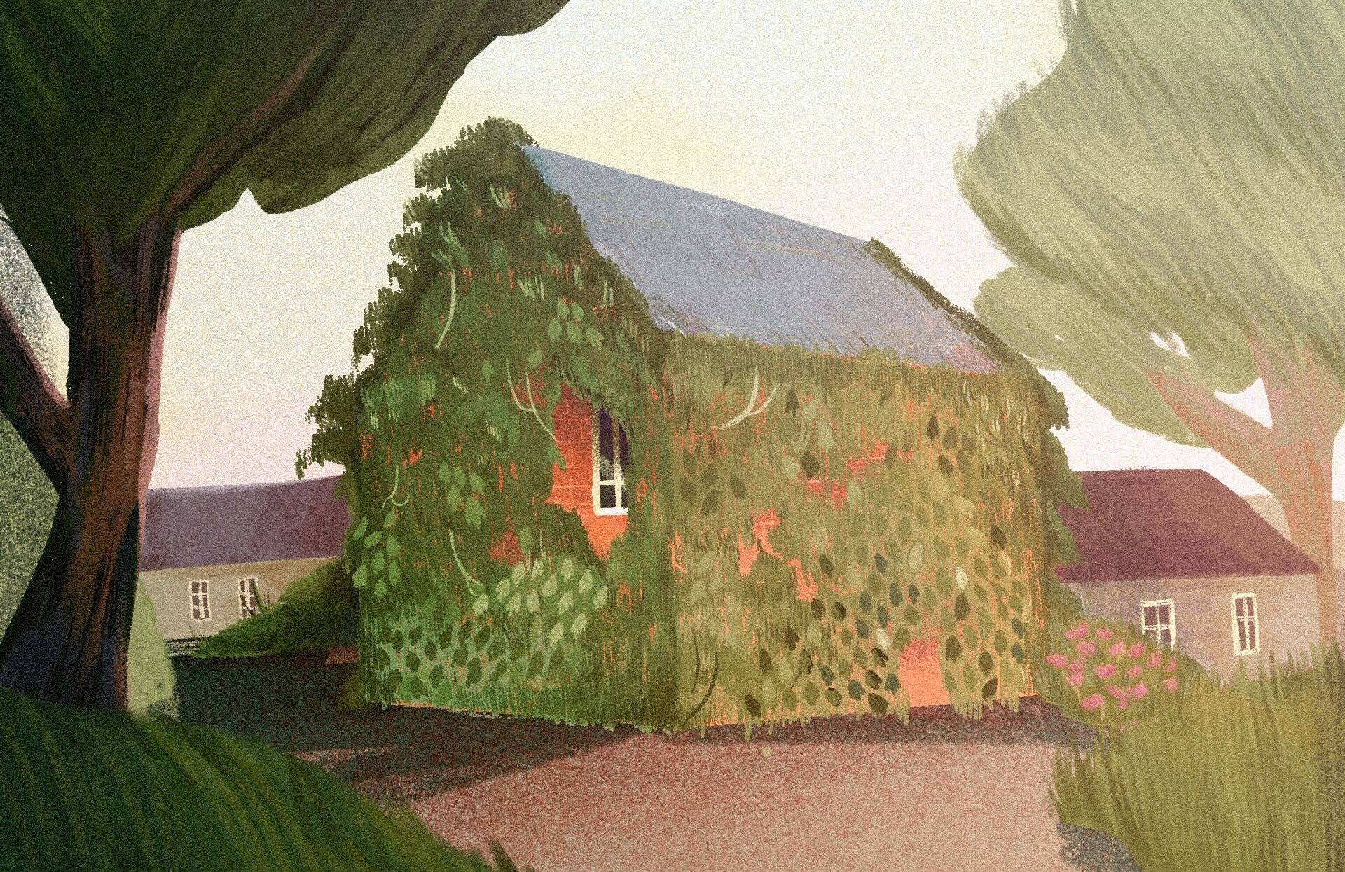 rysunek przedstawia dom prawie w całości obrośnięty pnączami