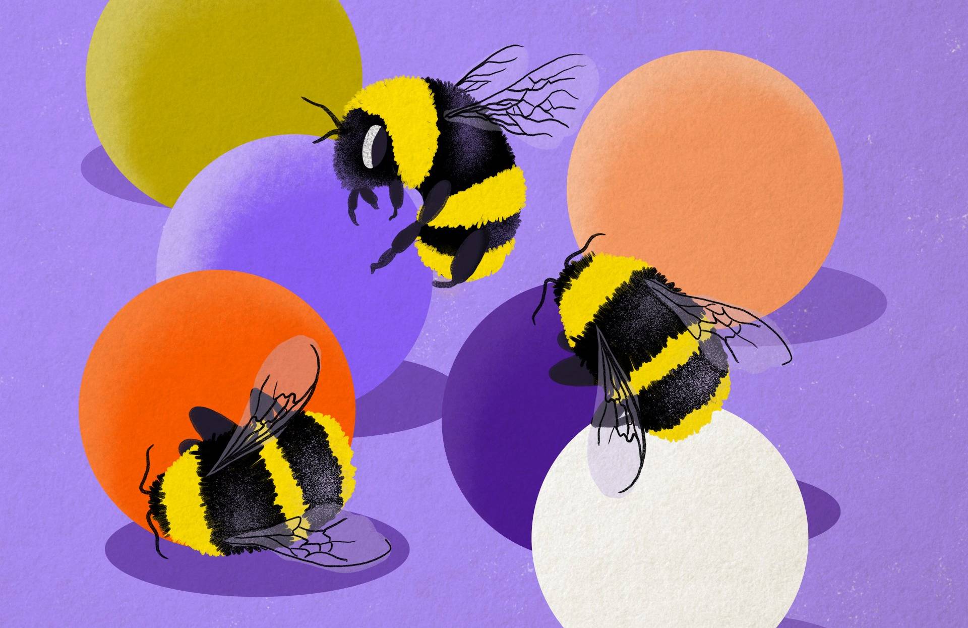 Rysunek kilku kolorowych pszczół