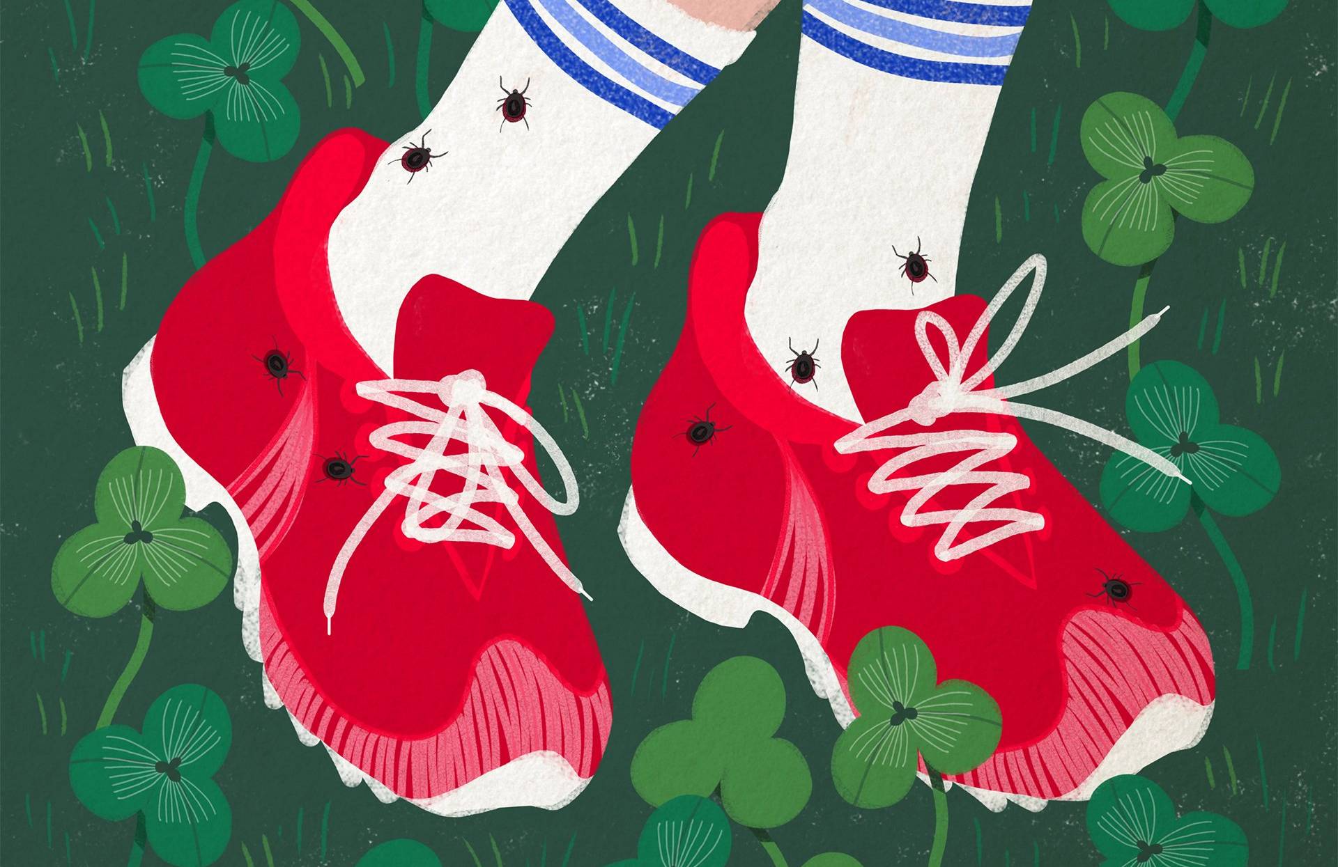 Na rysunku praa nóg w czerwonych butach i białych skarpetkach upstrzonych przez kleszcze