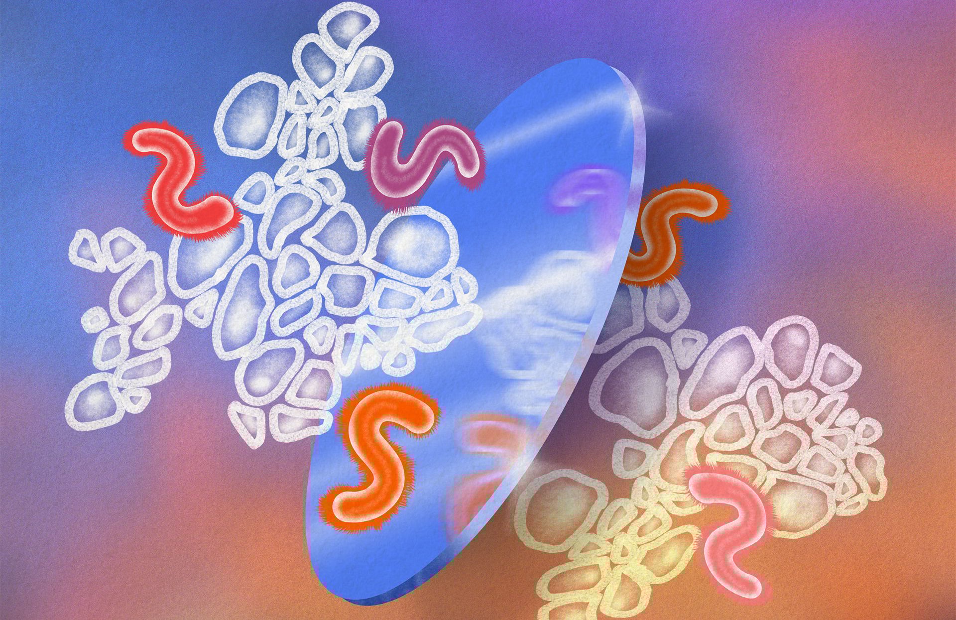 Ilustracja do tekstu o zagrożeniach z powodu tzw. mirror cells