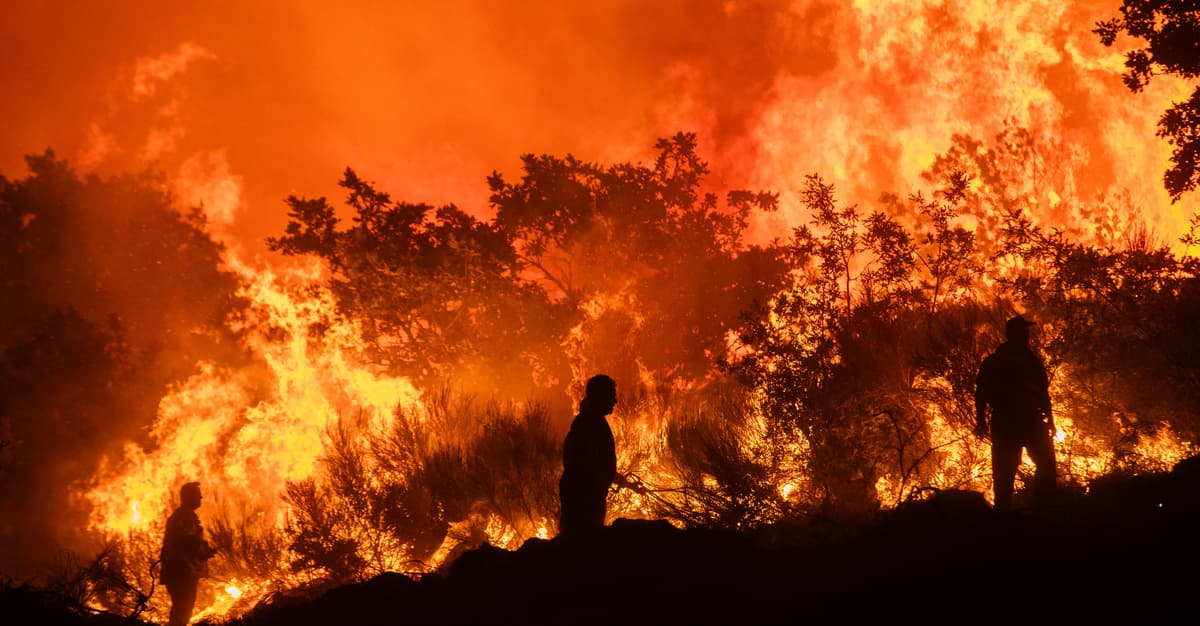 1,4 tys. zgonów dziennie przez upał. Tak zabija zmiana klimatu