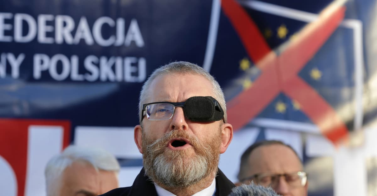 Oni stoją za Braunem. Zobacz, kto legitymizuje sympatyków Putina i siewców teorii spiskowych